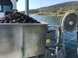 Mussel Seeding Machine - Image 2
