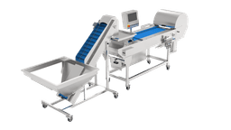 CH30 Olive Color Sorting Machine - Image 1