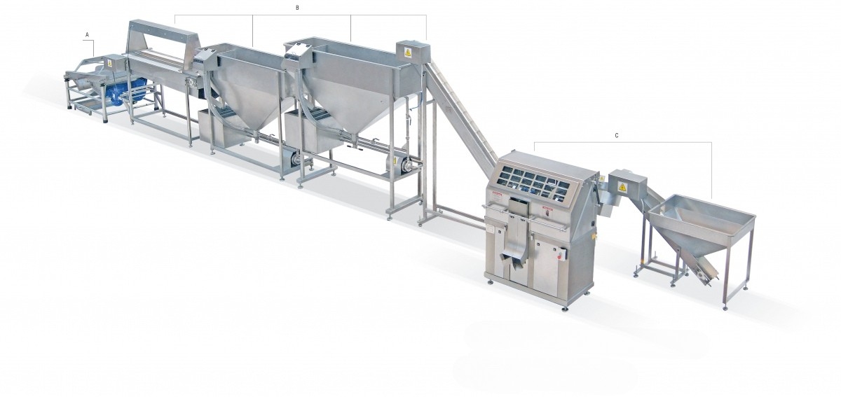 12-Blade Olive Pitting and Slicing Line with Densimeter and Vibrator